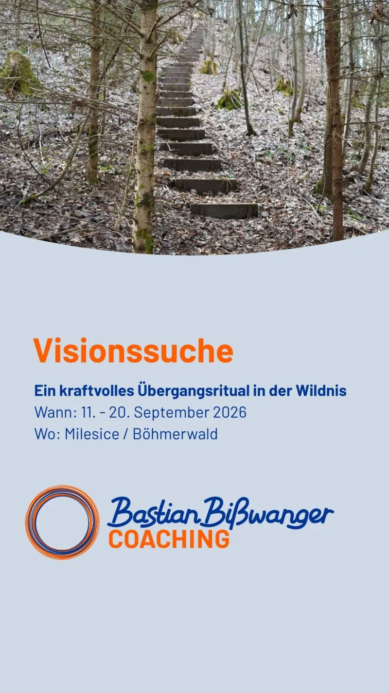 Infoabend Visionssuche online