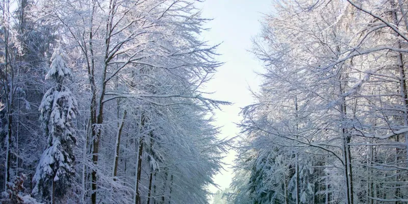 Auf den Spuren von Sebastian Kneipp in Bad Wörishofen