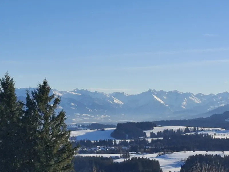 Winter-Entdecker-Schneeschuhtour am Blender