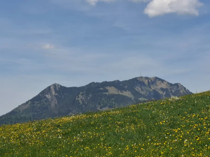 Kräuterwanderung bei Rettenberg