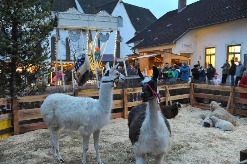 Weihnachtsmarkt im Trunzerstadel Schrattenbach
