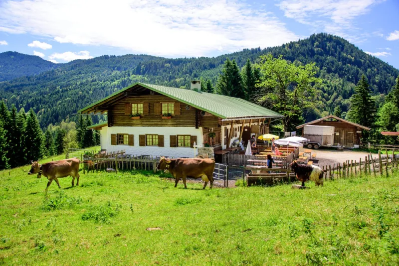 Kässpatzenessen auf der Sennalpe Topfen am Grünten