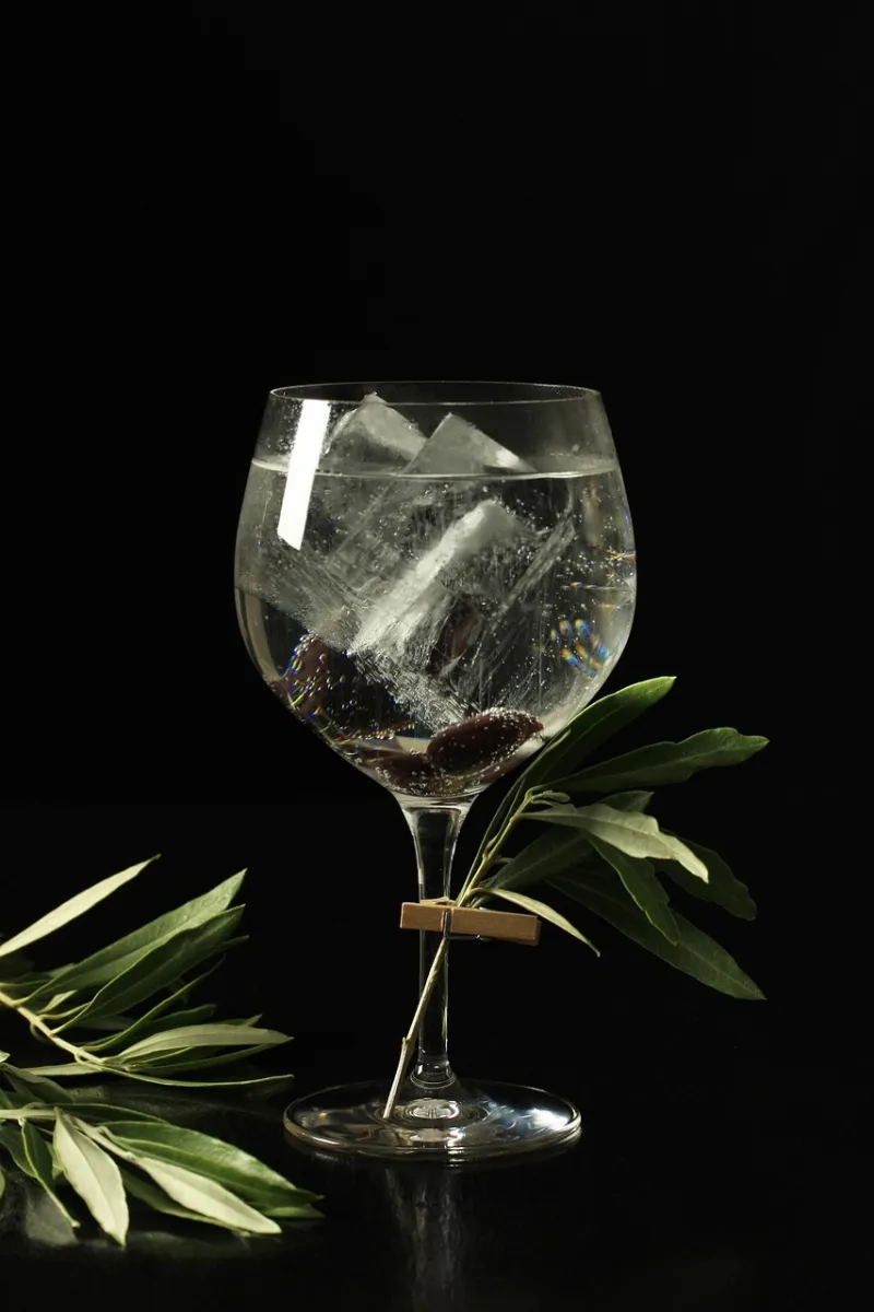Gin & Jazz im Hotel Rosenstock in Fischen
