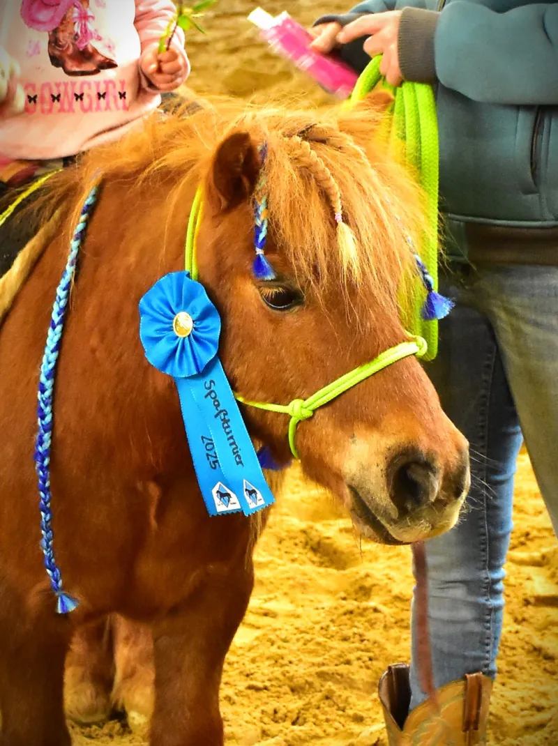 Spaßturnier des Clay Pit Stables bei Altusried