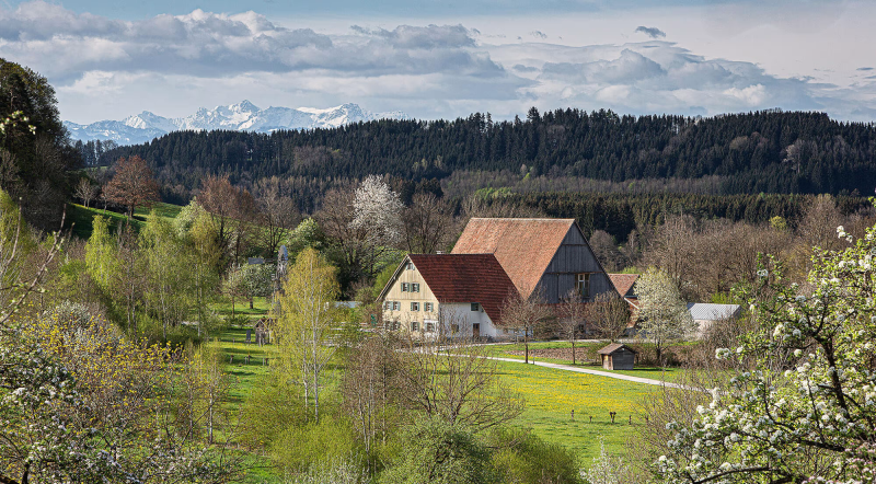 Apfel- und Kartoffeltag im Bauernhaus-Museum Wolfegg