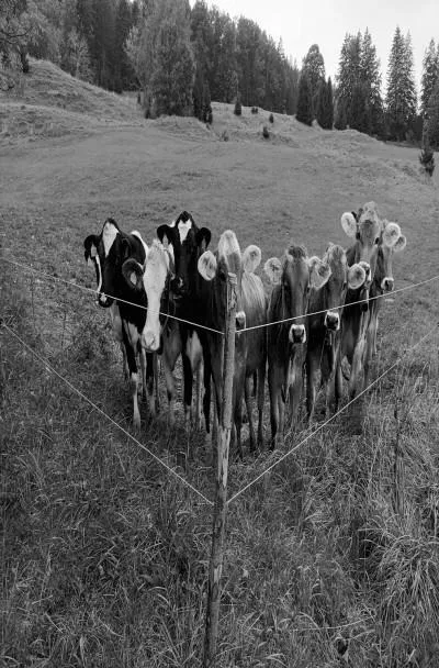 KunstStammtisch im Quartier in Kempten