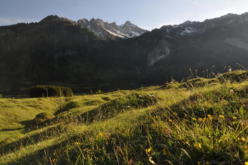Blumenwanderung rund um Hinterstein