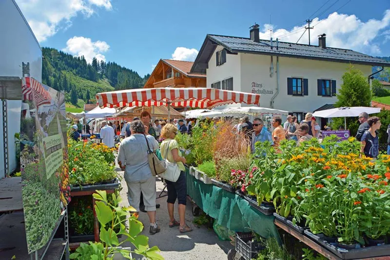 Kräutermarkt in Jungholz