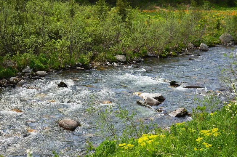 Ökosystem Bach und Tümpel im Biberhof Sonthofen