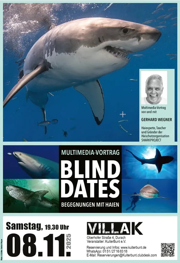 Blind Dates – Begegnungen mit Haien in der Villa K Durach