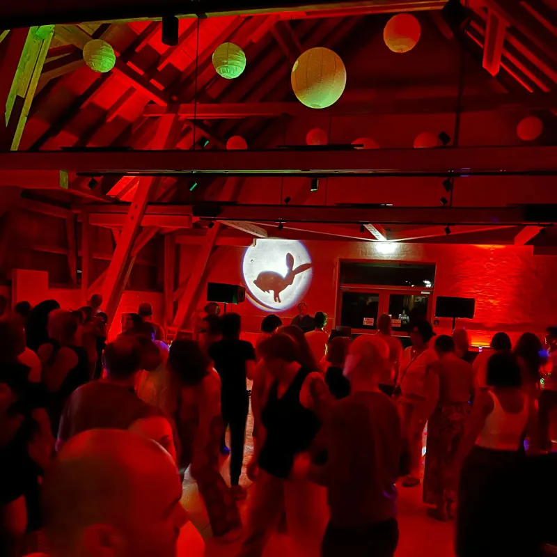 Hasen-Party in Bärenweiler