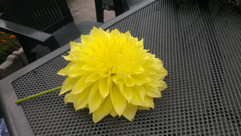 Enneagramm Workshop auf dem Wegmannhof