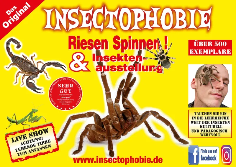 Insectophobie – Spinnen- und Insektenausstellung Füssen