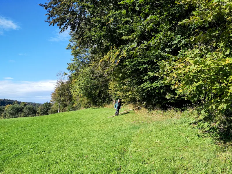 Kapellenfest in Bachtels