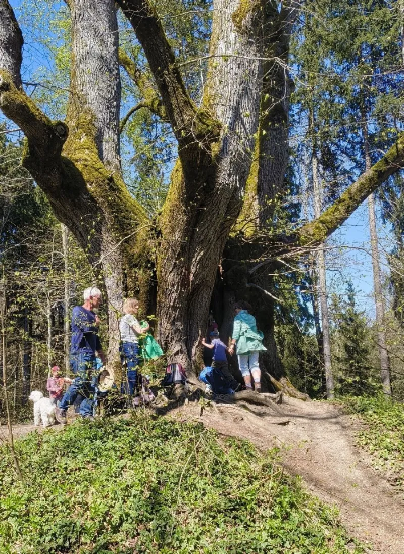 Natur- und Kulturwanderung bei Ratzenried