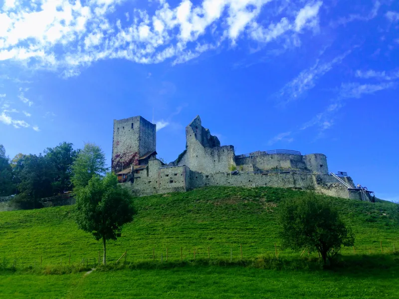 Burgfest Burgruine Sulzberg 2024