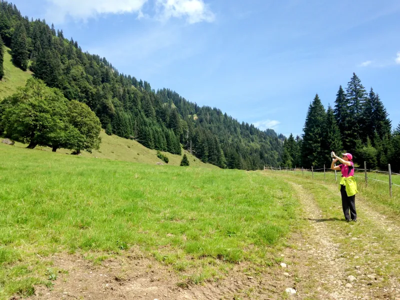 Allgäuer Erlebnisbus: Nagelfluhkette & Oberstaufen