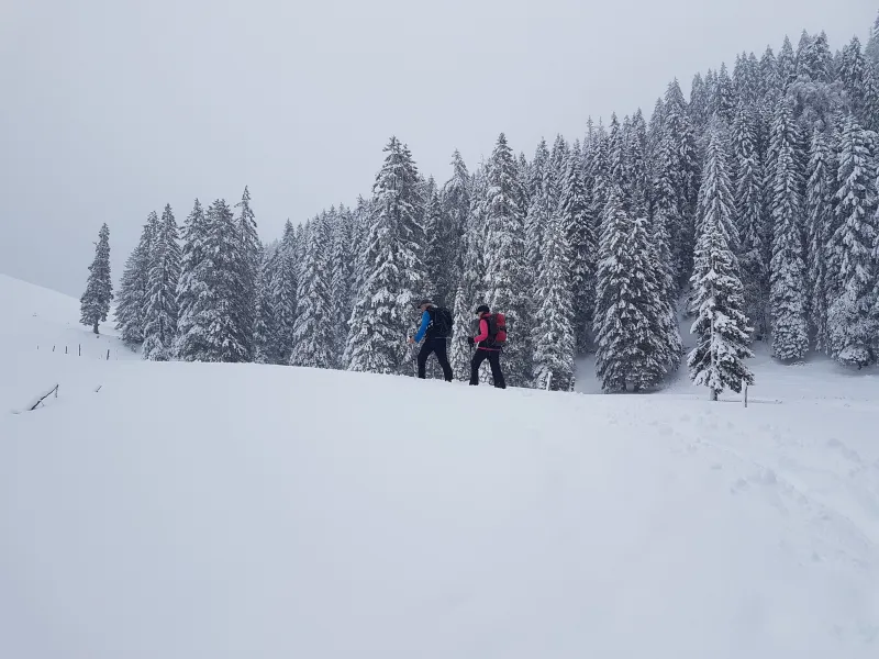 Schneeschuhtour Alpe Gschwenderberg