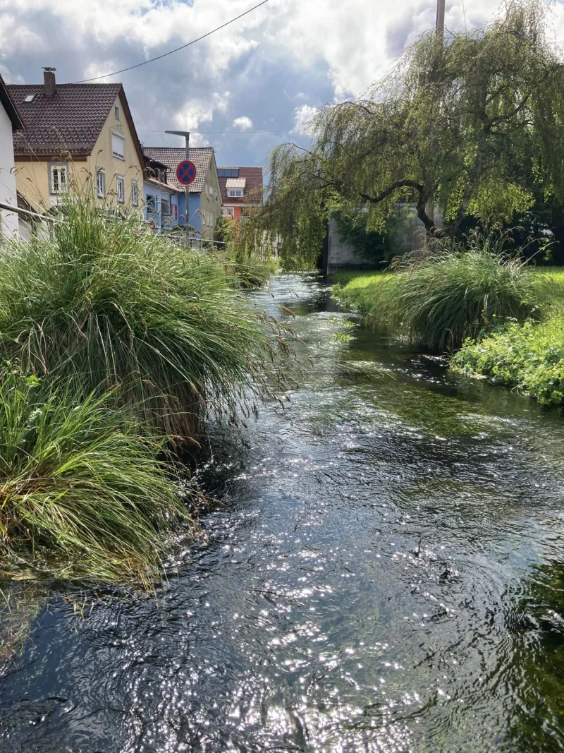 Die Isnyer Ach – Lebensader der Stadt in Isny im Allgäu