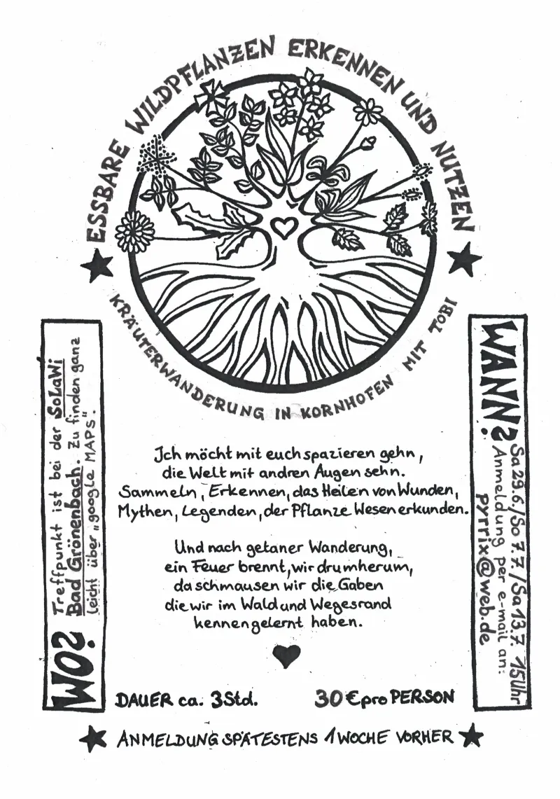 Essbare Wildpflanzen erkennen und nutzen