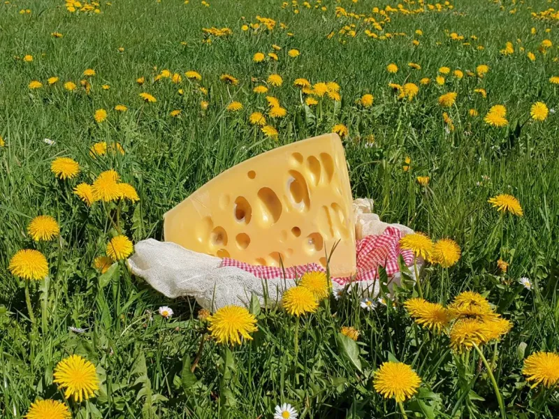 Führung durch die Bergkäserei Weizern