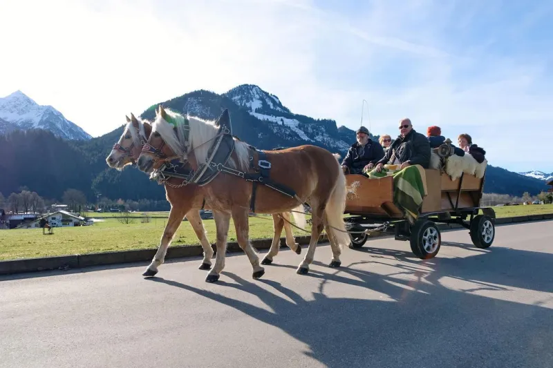 Kutschfahrt durchs Ostrachtal