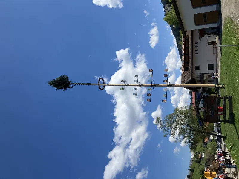 Maibaumaufstellen in Jungholz