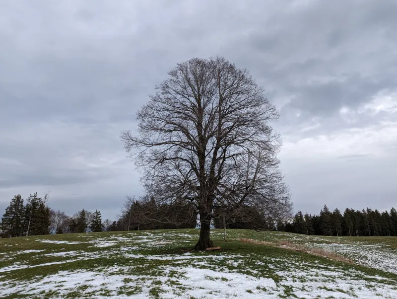 Wanderung über den Glasiusweg auf den Wolfsberg