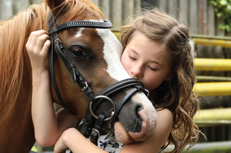 Rent a Pony in Nesselwang