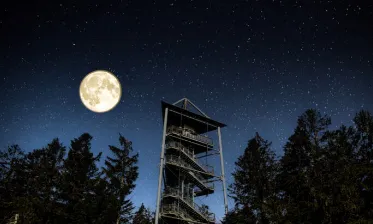 Nachtwanderung im Skywalk Allgäu
