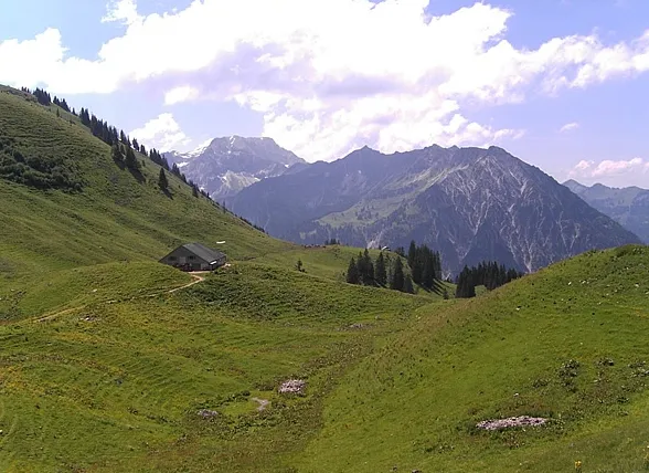 Zipfelsalp-Berglauf in Hinterstein