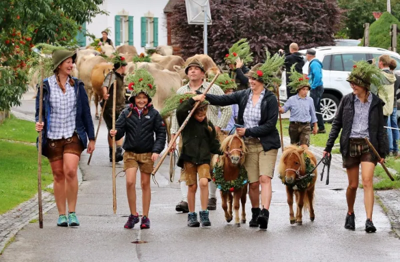 Almabtrieb am Fuxloch in Höfen
