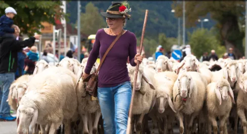 Schafschied an der Hahnenkammhalle in Höfen