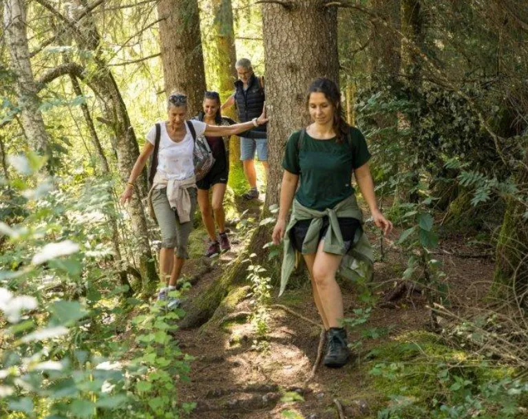 Moorgeschichten am Haldenhof in Isny