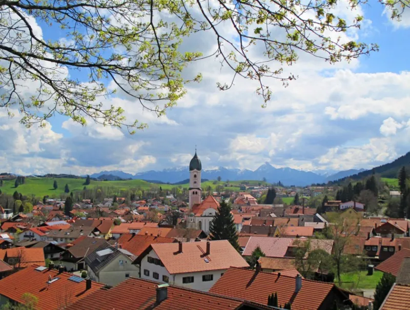 Frühlingserwachen: Der Natur auf der Spur in Nesselwang