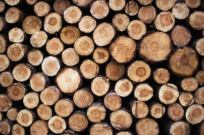 EiFo Forsttage in Bad Grönenbach