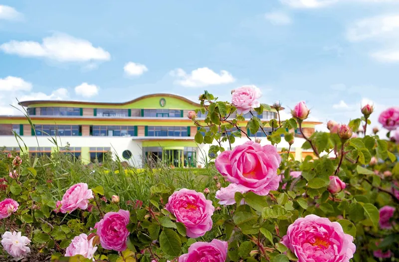 PRIMAVERA Rosenfest in Oy-Mittelberg