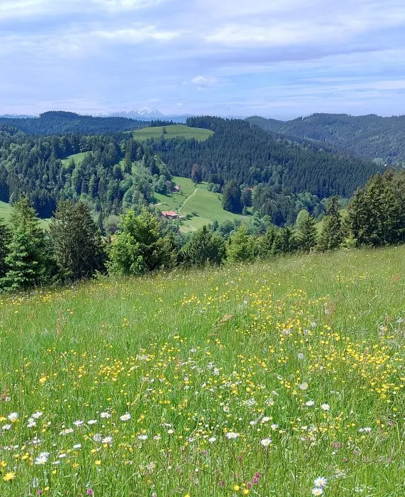 Über die Kreuzleshöhe zum Ziegenhof
