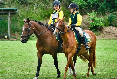 Reitturnier in Dietmannsried