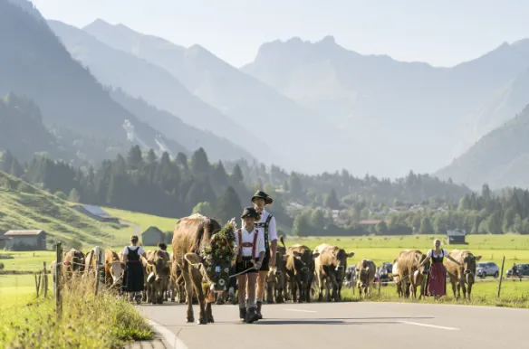 Viehscheid in Oberstdorf