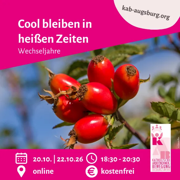 Cool bleiben in heißen Zeiten - online