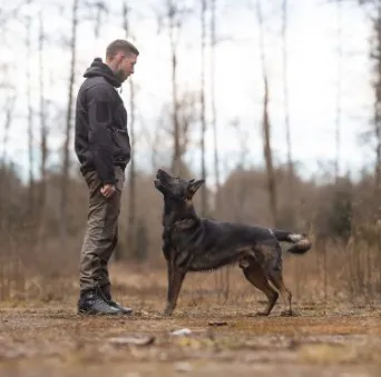 Mensch-Hund-Beziehung bei Allgäu Dogs