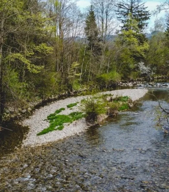 Herbsttour an der Unteren Argen bei Neutrauchburg