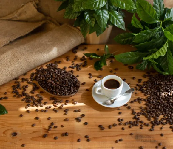 Reise in die Welt des Kaffees in Legau
