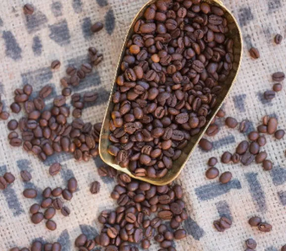 Kaffee Seminar mit Live-Röstung in Legau