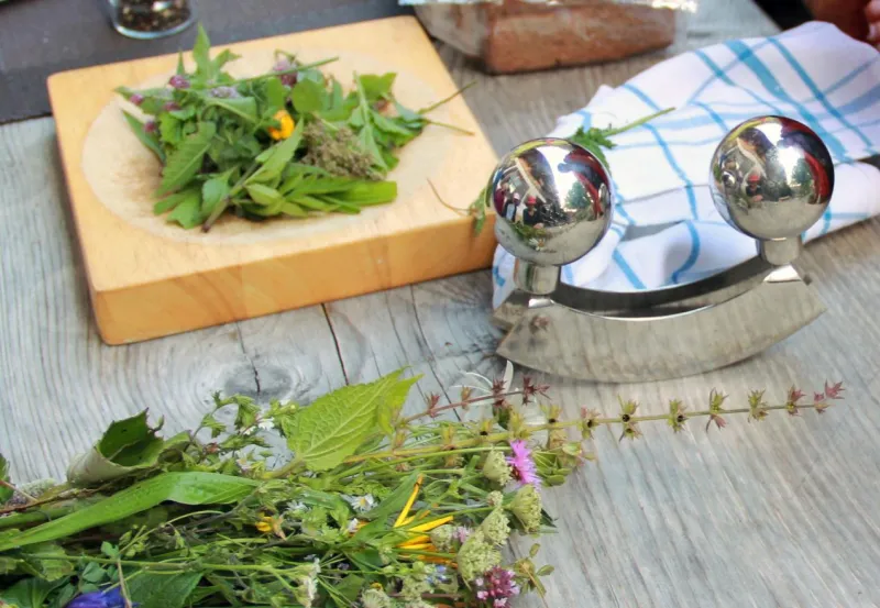 Kräuterkurs für Kinder: 'Meine ersten Wildkräuter'