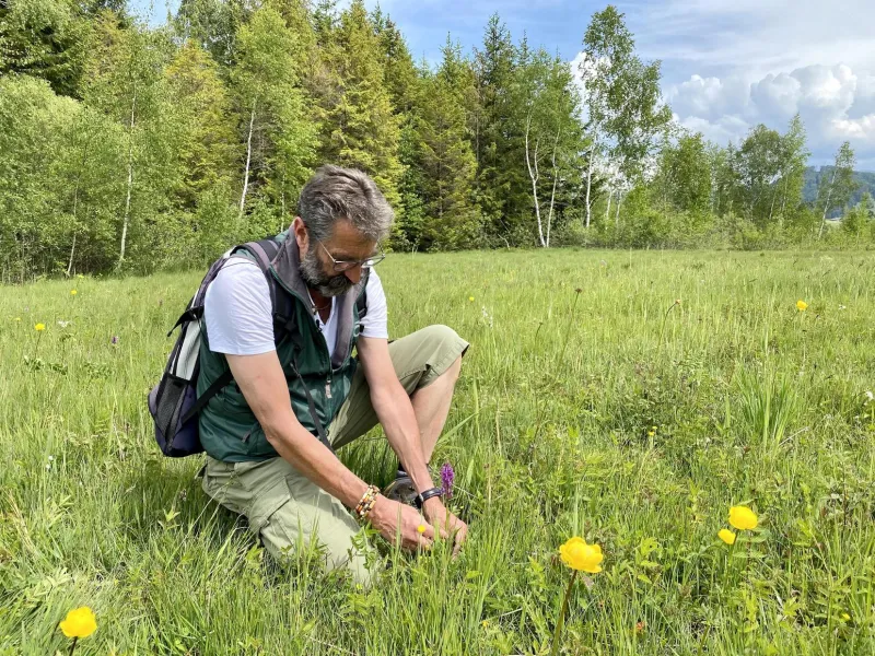 Geheimnisse der Heilpflanzen und Wildblumen