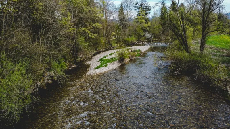 Wildes Wasser an der Unteren Argen bei Isny