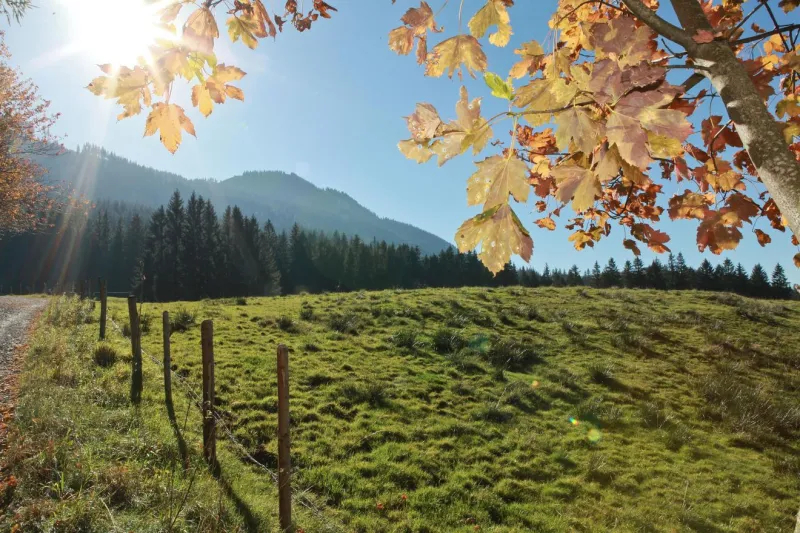 Nesselwanger Hausberg - Verborgene Pfade erleben