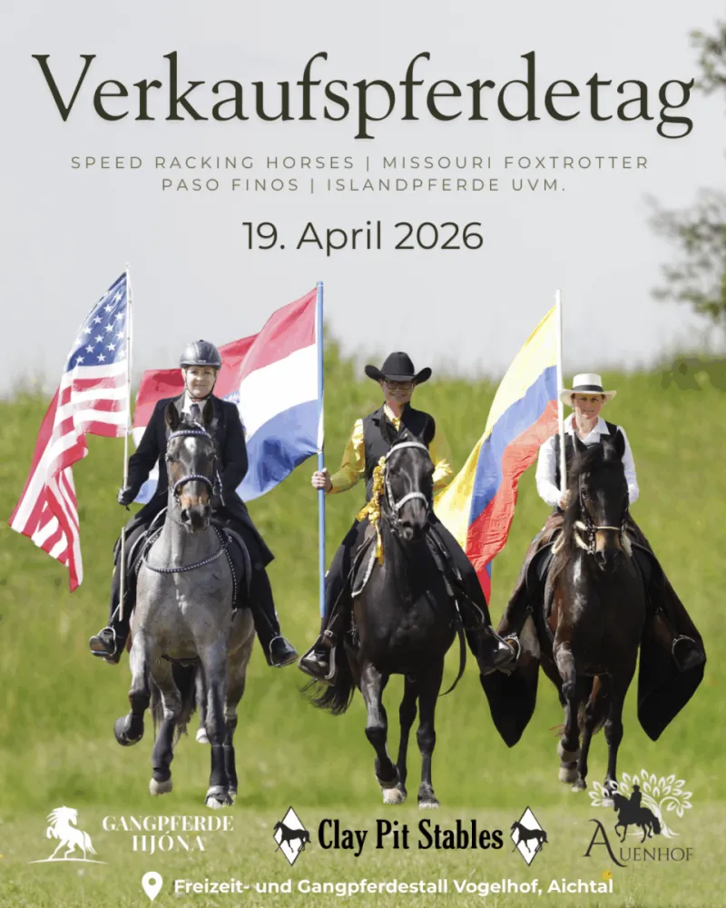 Verkaufspferdetag in Aichtal